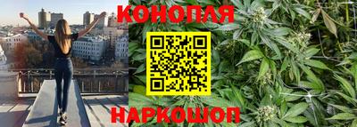 сатива Бузулук