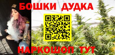 сатива Бузулук